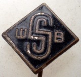 I.373 INSIGNA STICKPIN WSB email, Europa