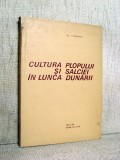 Cultura plopului si salciei in Lunca Dunarii - Al. Clonaru