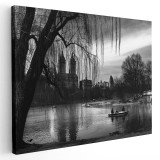 Tablou Central Park New York USA alb negru 1541 Tablou canvas pe panza CU RAMA 30x40 cm