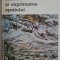 Cezanne si exprimarea spatiului - Liliane Brion-Guerry