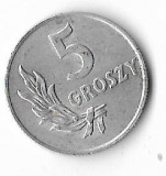 Moneda 5 groszy 1949 - Polonia