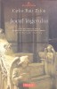 Jocul Ingerului - Carlos Ruiz Zafon, Polirom, 2009, Roman, Editie Paperback
