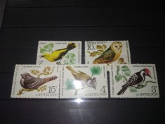 TIMBRE URSS PASARI 1979 foto