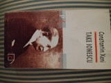 Constantin Xeni Tache Ionescu