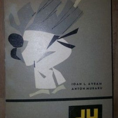 Judo- Ioan L.Avram, Anton Muraru