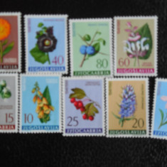 Serie timbre flora flori plante Iugoslavia nestampilate timbre filatelice