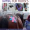 Kinesiology Taping for Horses: The Complete Guide to Taping for Equine Health, Fitness and Performance