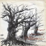 Felicia Donceanu &ndash; Imagini. Eminesciana. Cantand cu Ienachita Vacarescu
