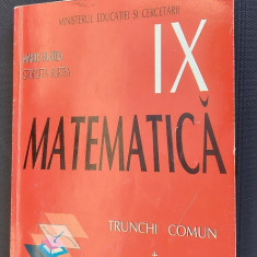 MATEMATICA CLASA A IX A TRUNCHI COMUN _ CURICCULUM DIFERENTIAT BURTEA