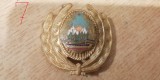 QW14 - Emblema militara / cuc - uscat - comunism - piesa de colectie