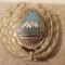 QW14 - Emblema militara / cuc - uscat - comunism - piesa de colectie