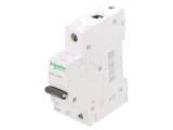 &Icirc;ntrerupător Supracurent 40A 230/400V 1P 6kA