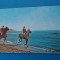 CPIB 23100 CARTE POSTALA - ECHITATIE LA MANGALIA, CIRCULATA, 1975, STAMPILA, CAI