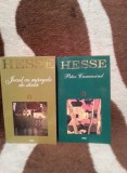 JOCUL CU MARGELE DE STICLA/PETER CAMENZIND-HERMANN HESSE (2 VOL)