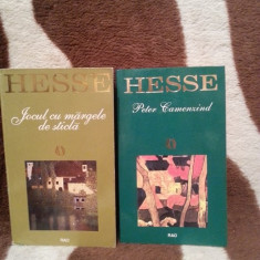 JOCUL CU MARGELE DE STICLA/PETER CAMENZIND-HERMANN HESSE (2 VOL)