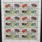 SOMALIA-GANDACI-6x4 Val.in Coala-MNH**SOM 162A