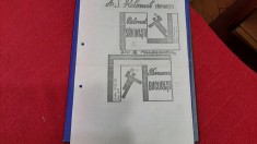 program Relonul Savinesti - Dinamo