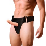 Harness Attraction-Rnes Cadru Gol cu Vibrator 15 cm -o- 5 cm-TPR