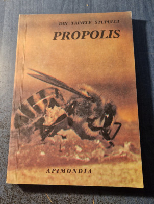 Din tainele stupului Propolis un pretios produs al apiculturii Apimondia foto