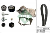 INA 530 0639 30 Set pompa apa + curea dintata