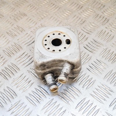 Răcitor de ulei VW PASSAT Variant B5 3B6 2003 OEM: 028117021B | 3169114 foto