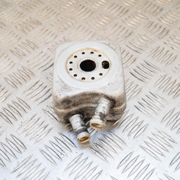 Răcitor de ulei VW PASSAT Variant B5 3B6 2003 OEM: 028117021B | 3169114