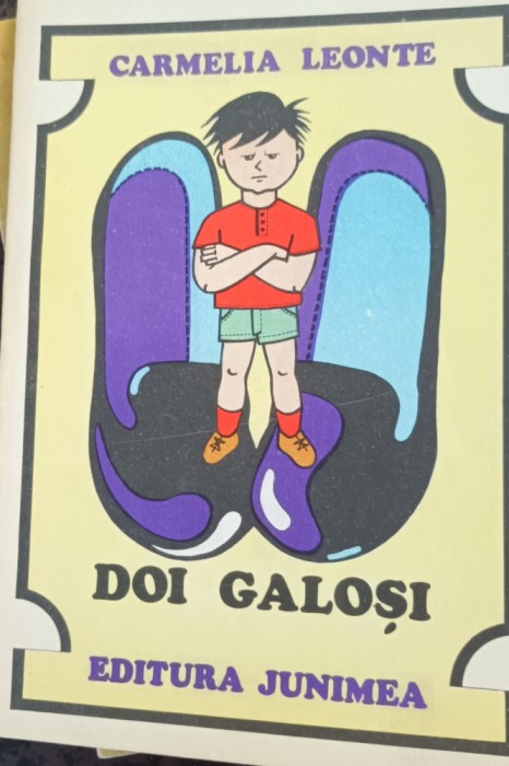 DOI GALOSI CAMELIA LEONTE