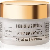 KESEM Night Cream with Caviar and Hyaluronic Acid crema de noapte cu caviar și acid hialuronic 50 ml