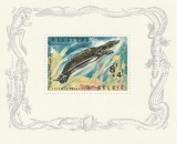 Belgia 1965 - Fauna , Testoase , Colita dantelata , MNH ,Mi.Bl.33