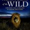 The Heartbeat of the Wild: Dispatches from Landscapes of Wonder, Peril, and Hope