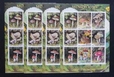 SOMALIA-2000-CIUPERCI-4x1 M/Sh,Nedantelata.**SOM 080A foto