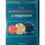DE LA MAXIMIZAREA PROFITULUI LA TRIPLA EFICIENTA-I.D. ADUMITRACESEI, N.G. NICULESCU-226819
