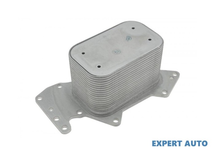 Radiator ulei Volkswagen Phaeton (2002-2016)[3D1,3D2,3D3,3D4,3D6,3D7,3D8,3D9] #1