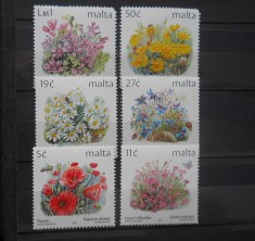 CV2 SERIE MALTA FLORA