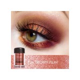 Pigment fard de ochi Focallure Eyes Loose Pigment 04 Brown Plum