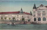 Crisul cu Hala Comerciala. Oradea (scrisa)