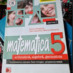 Matematica 5 aritmetica, algebra, geometrie - Sorin Peligrad