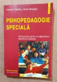 Psihopedagogie speciala. Ghid practic pentru invatamantul deschis la distanta. Editura Polirom, 2000 - Cristina Neamtu, Alois Ghergut