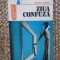 Lucian Ionica - Ziua confuza