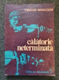 CALATORIE NETERMINATA - Yehudi Menuhin