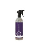 Solutie Curatare Geamuri Nanolex Glass Cleaner 750ml