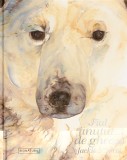 Fiul tinutului de gheata - Jackie Morris - Editura Signatura