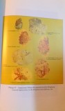 PLIOCENUL SI CUATERNARUL DIN VESTUL BAZINULUI DACIC , STRATIGRAFIE SI EVOLUTIE PALEOGRAFICA de PETRU ENCIU , 2007