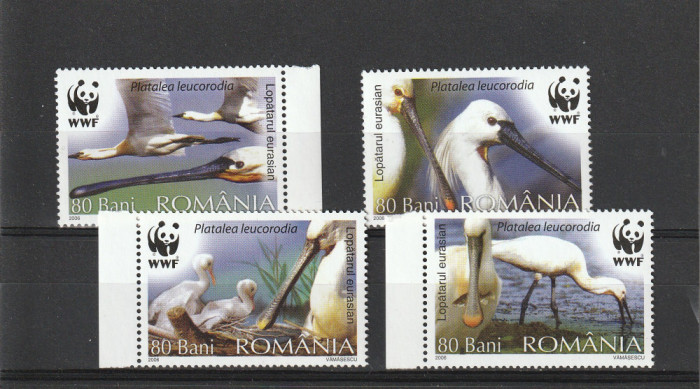Fauna pasari de apa WWF ,nr lista 1744, Romania.