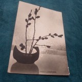 Cumpara ieftin CARTE POSTALA FELICITARE CIRCULATA