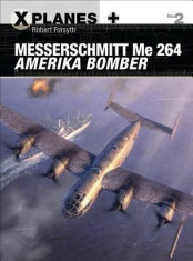 Messerschmitt Me 264 Amerika Bomber foto