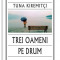 Trei oameni pe drum - Paperback brosat - Tuna Kiremit&ccedil;i - Univers