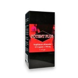 Capsule POTENT PLUS, susțin erecțiile puternice și de durată, cu extract de Ginseng siberian, 15 buc