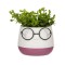 Ghiveci decorativ ochelari cu planta artificiala, Mov, 9.5x14 cm, ATU-086339