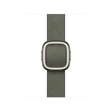 AW BAND 42MM MODERN BUCKLE SAGE GRAY M